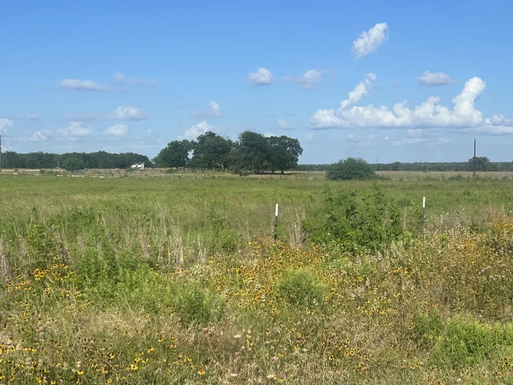 9012 Fm 141 Road Dime Box, TX 77853