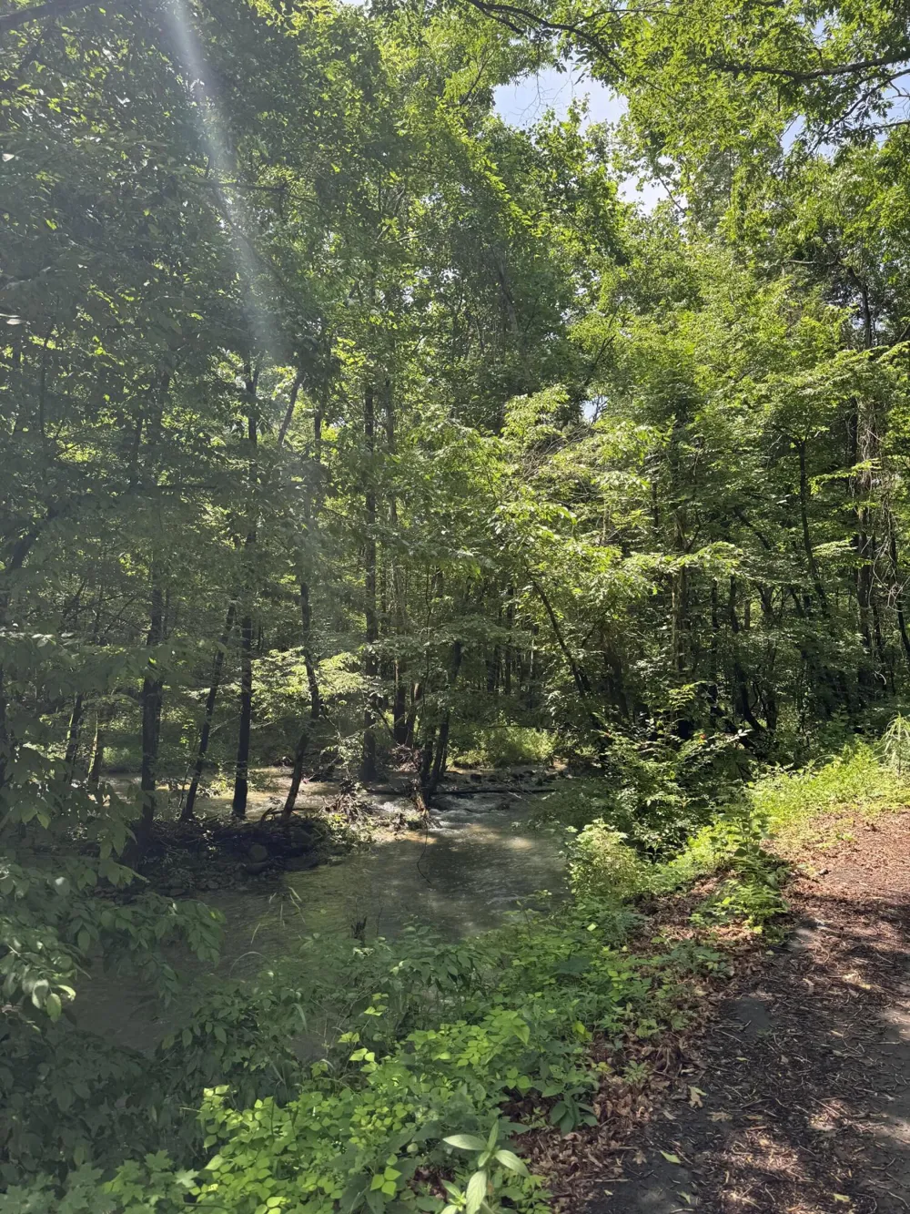 2784 Fiery Gizzard Road South Pittsburg, TN 37380