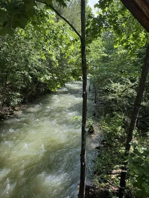 2784 Fiery Gizzard Road South Pittsburg, TN 37380