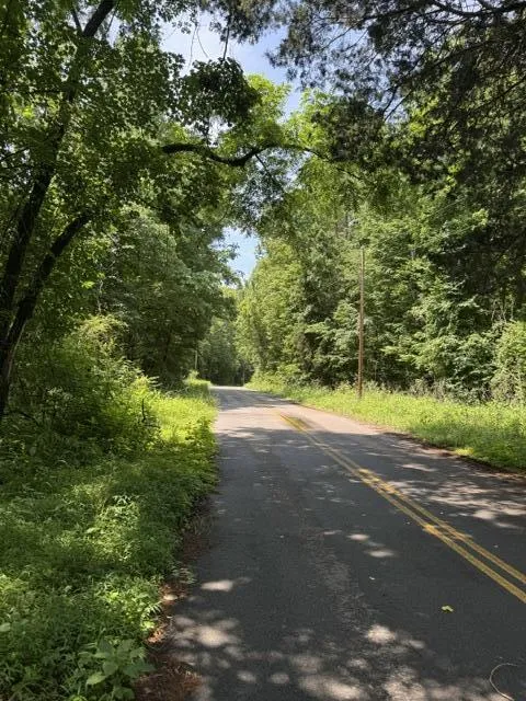 2784 Fiery Gizzard Road South Pittsburg, TN 37380