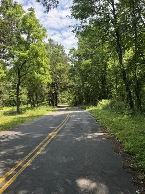 2784 Fiery Gizzard Road South Pittsburg, TN 37380