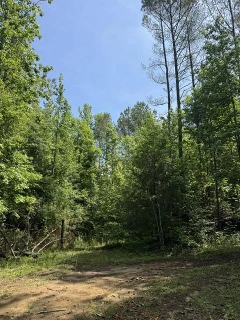 2784 Fiery Gizzard Road South Pittsburg, TN 37380