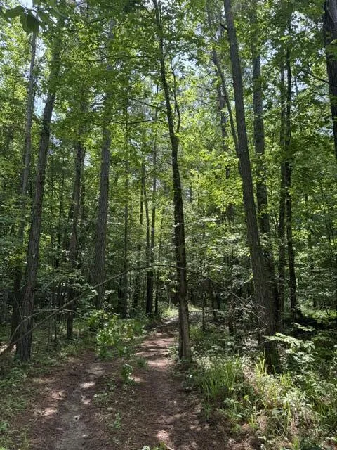 2784 Fiery Gizzard Road South Pittsburg, TN 37380