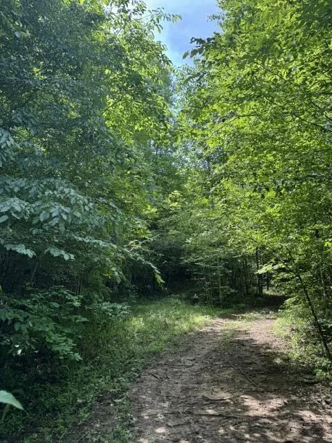 2784 Fiery Gizzard Road South Pittsburg, TN 37380