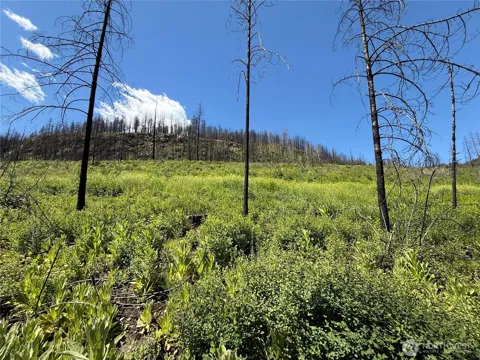 0 Lot 32 4th of July Creek Road