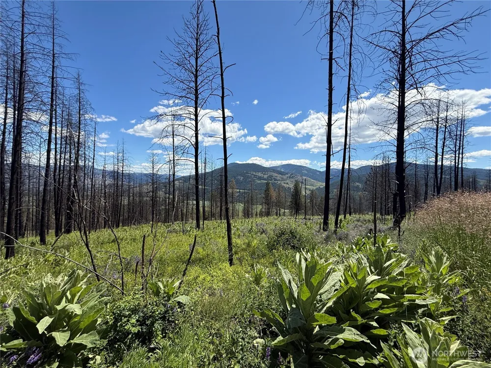 0 Lot 32 4th of July Creek Road Danville, WA 99121