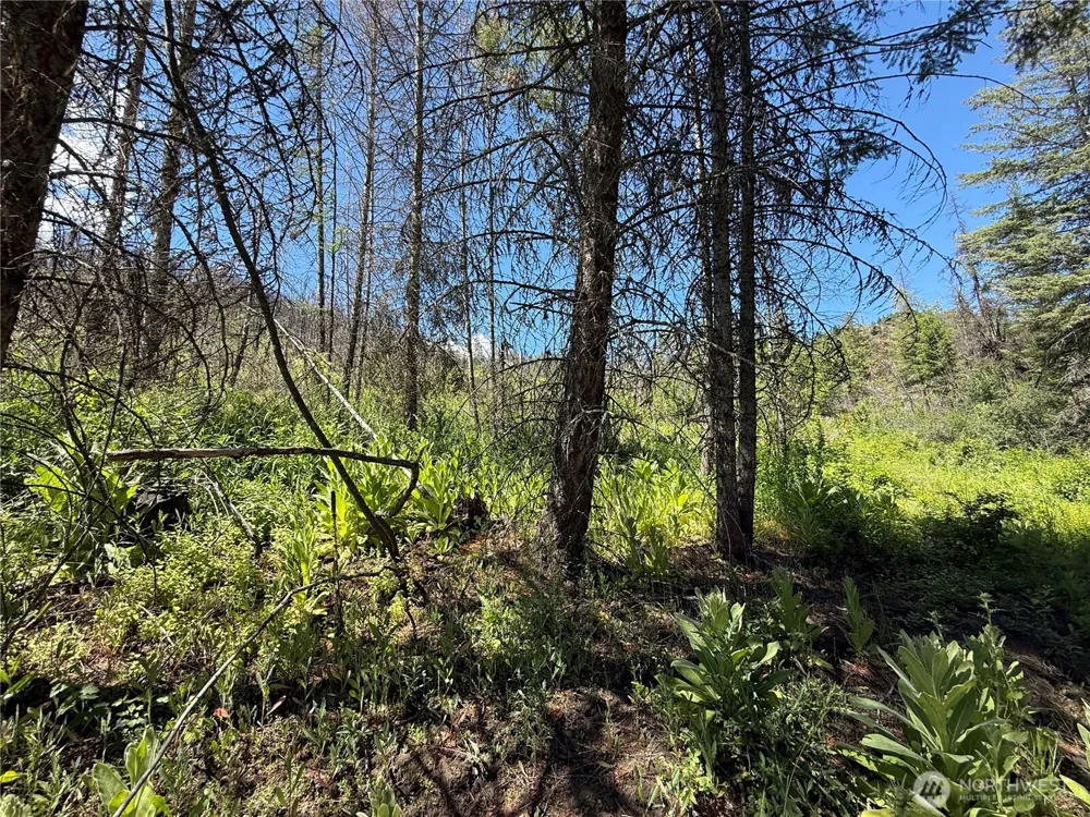 0 Lot 32 4th of July Creek Road Danville, WA 99121