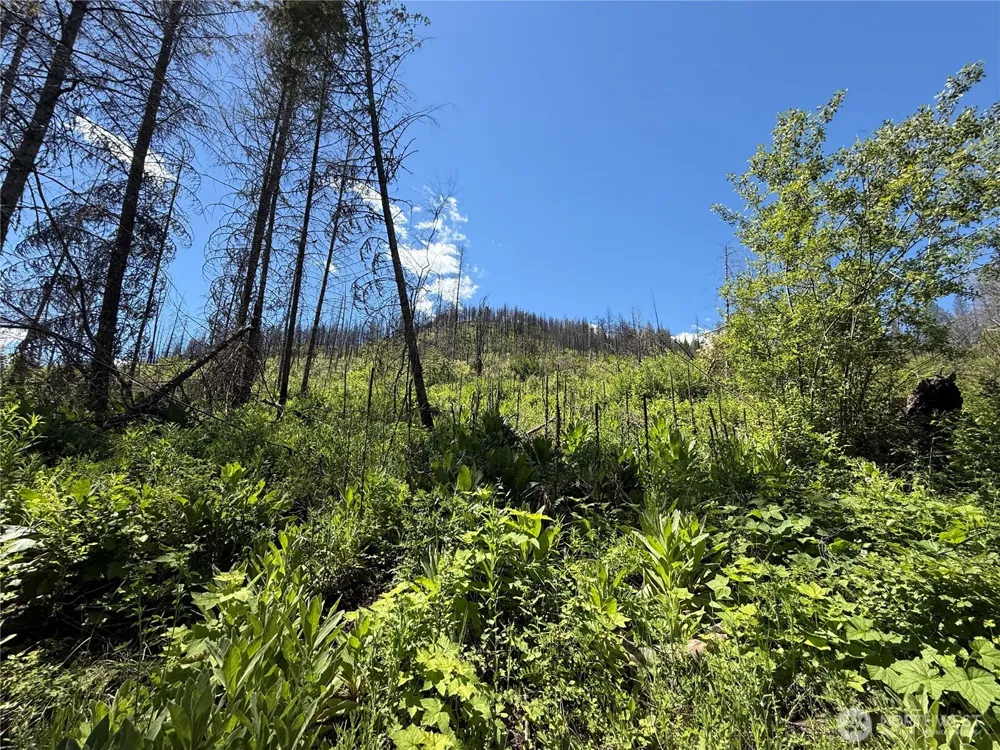 0 Lot 32 4th of July Creek Road Danville, WA 99121