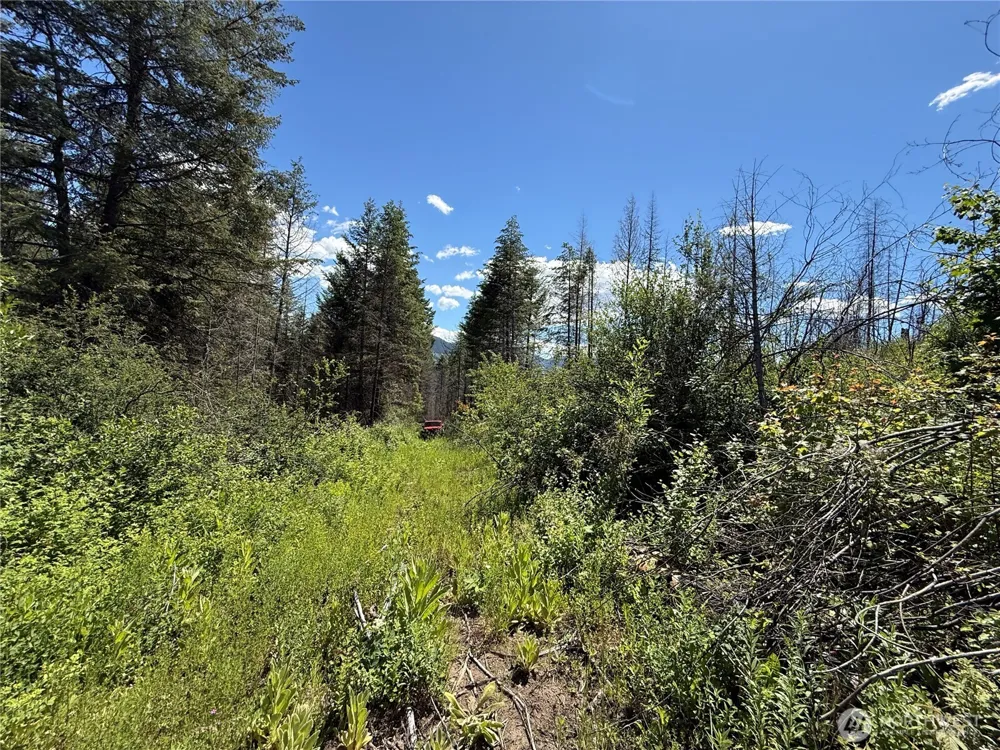 0 Lot 32 4th of July Creek Road Danville, WA 99121