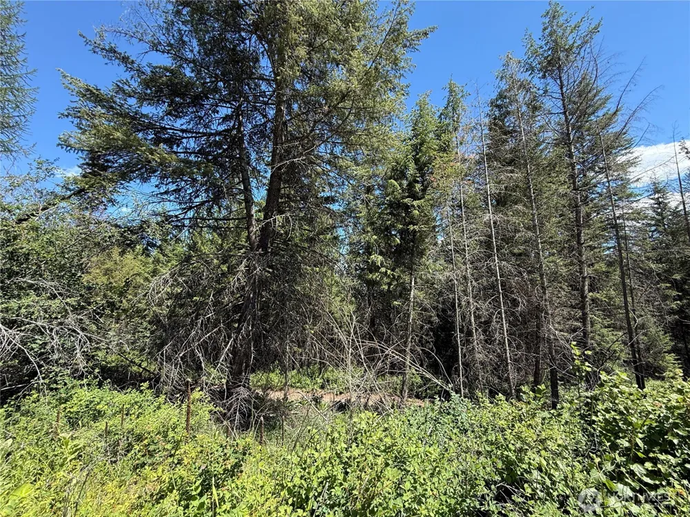 0 Lot 32 4th of July Creek Road Danville, WA 99121