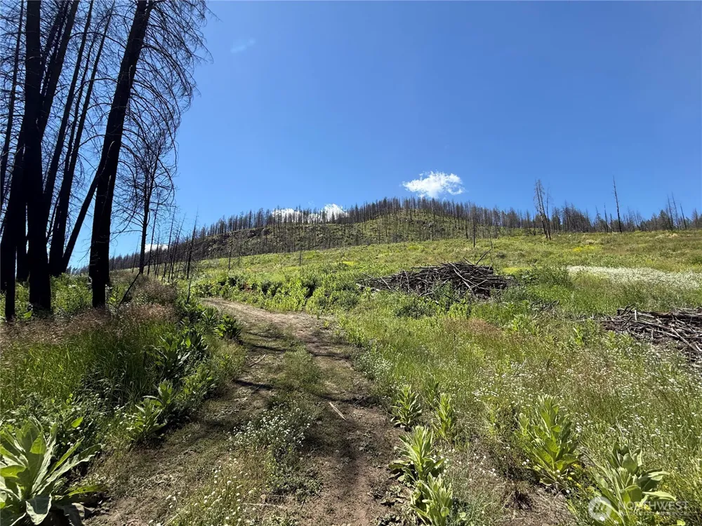0 Lot 32 4th of July Creek Road Danville, WA 99121