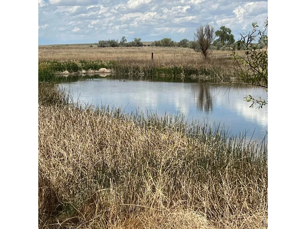 26247 County Road 2 Orchard, CO 80649