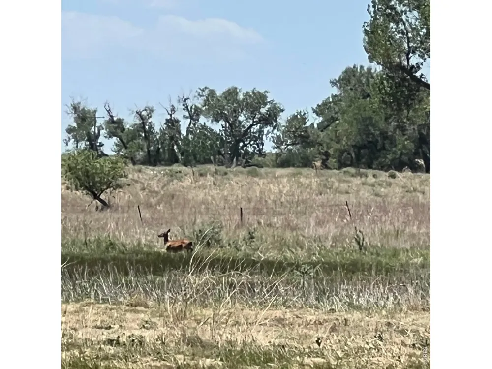 26247 County Road 2 Orchard, CO 80649