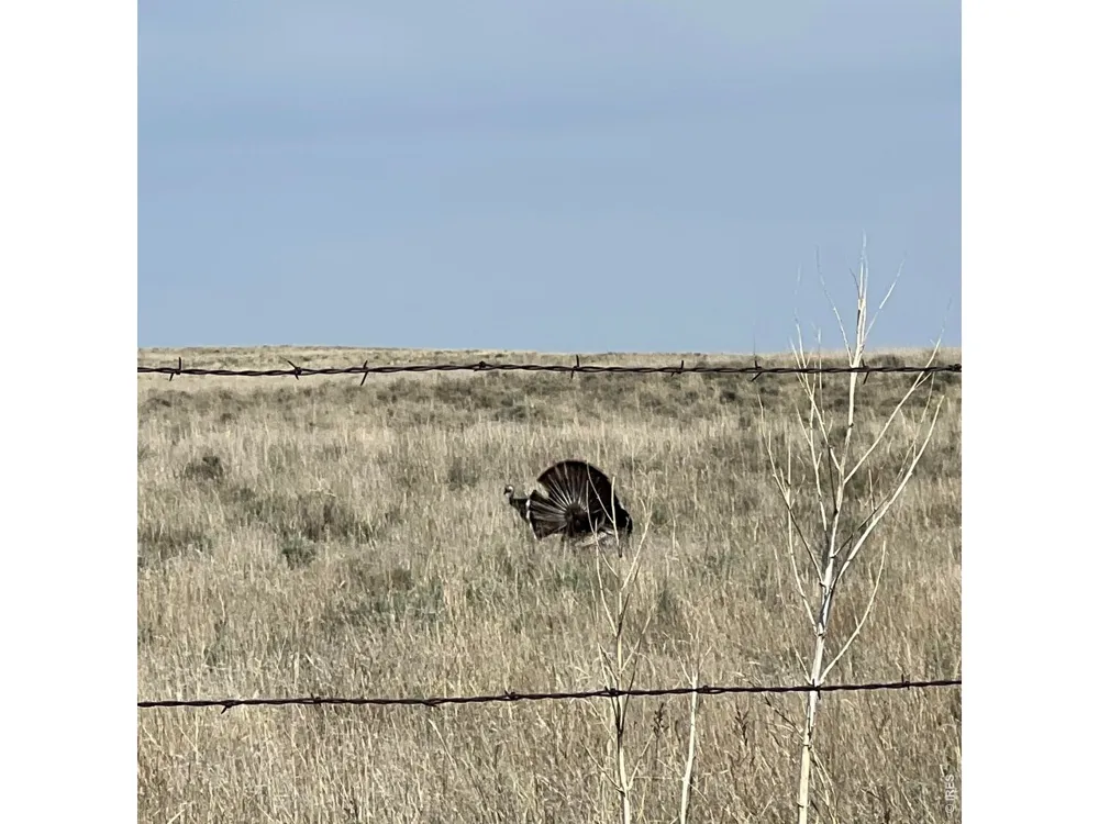 26247 County Road 2 Orchard, CO 80649