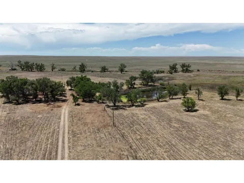 26247 County Road 2
