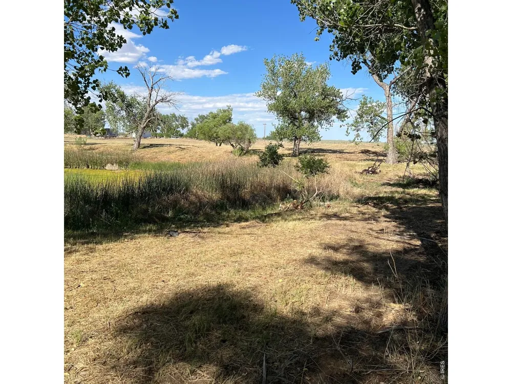 26247 County Road 2 Orchard, CO 80649