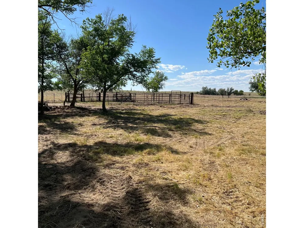 26247 County Road 2 Orchard, CO 80649