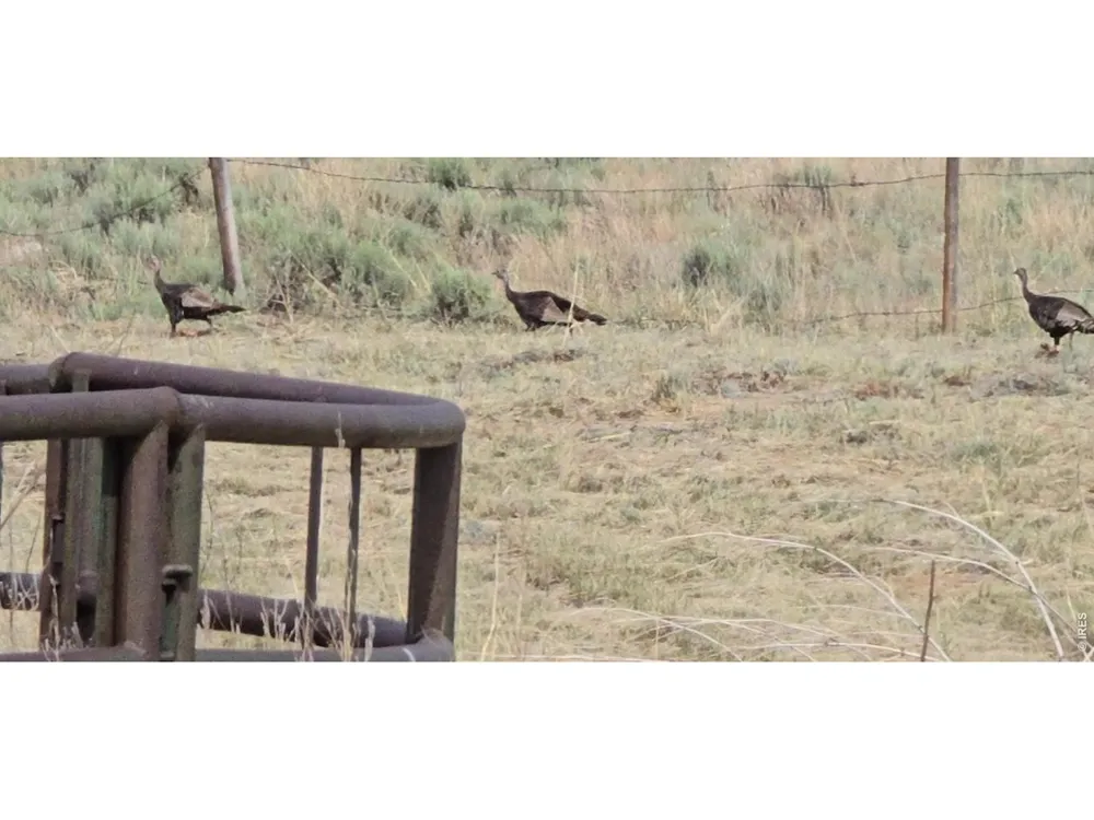 26247 County Road 2 Orchard, CO 80649
