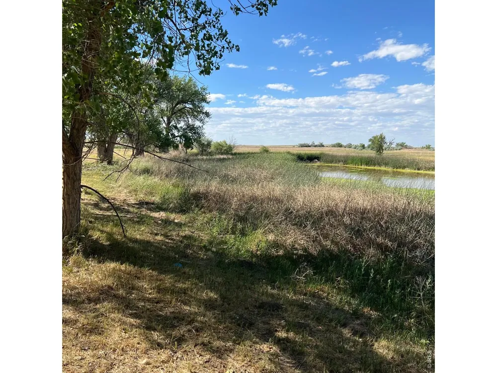 26247 County Road 2 Orchard, CO 80649