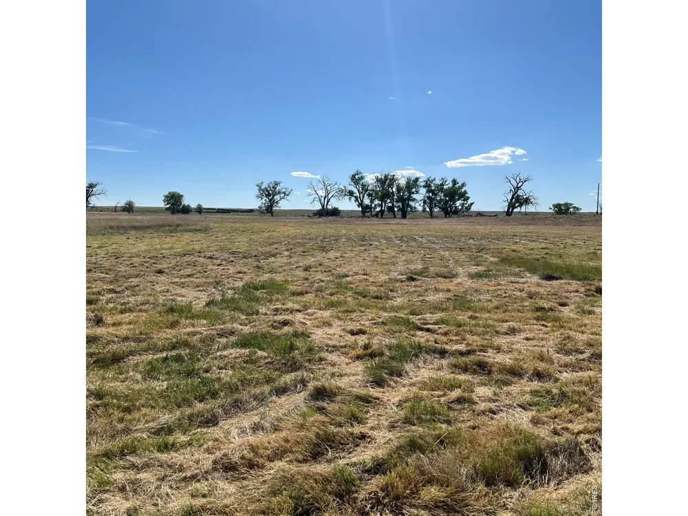 26247 County Road 2 Orchard, CO 80649