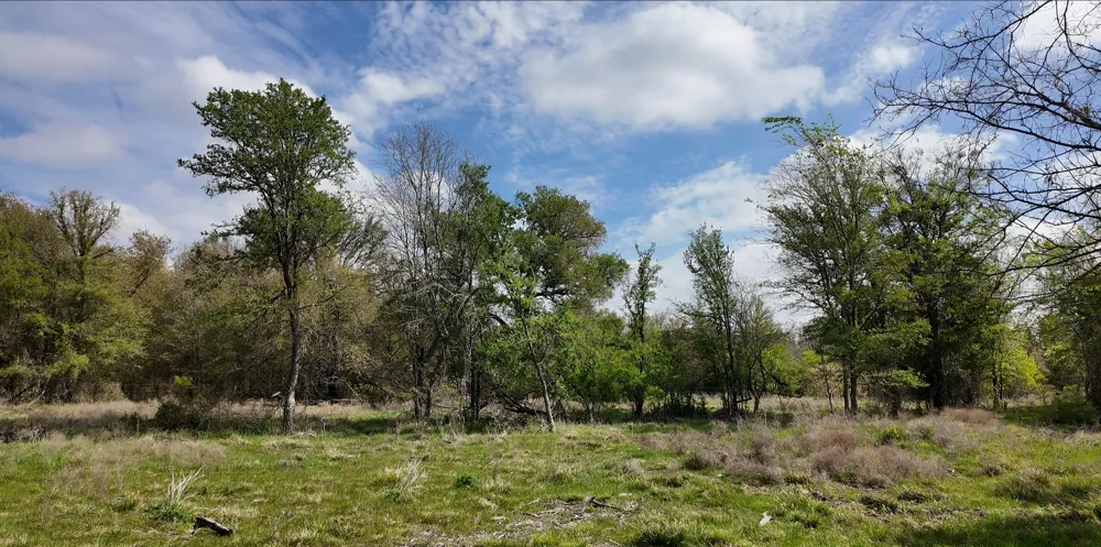 144 CR 219 Cameron, TX 76520