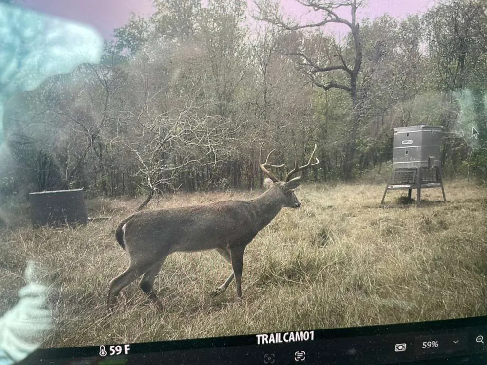 144 CR 219 Cameron, TX 76520