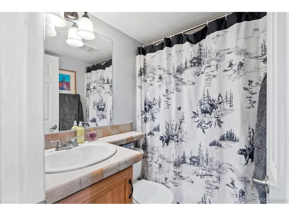 92 Sunshine Loop Fairplay, CO 80440