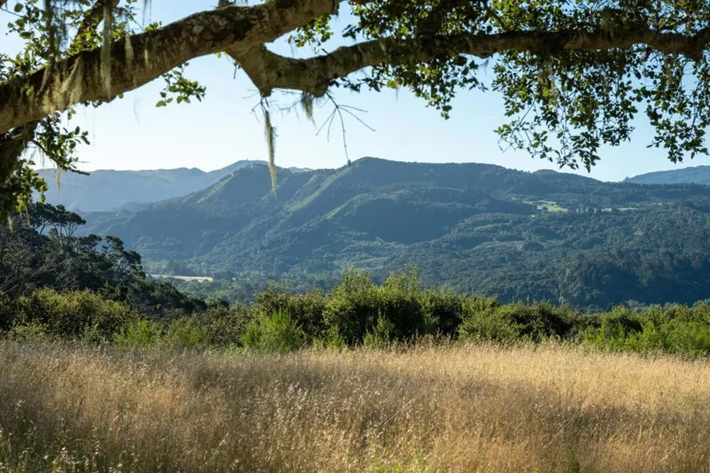 5155 Carmel Valley Road Carmel, CA 93923