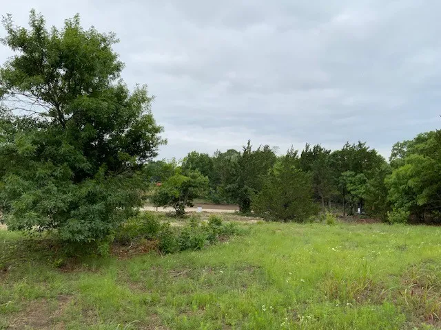 Bluebonnet Drive Van Alstyne, TX 75495