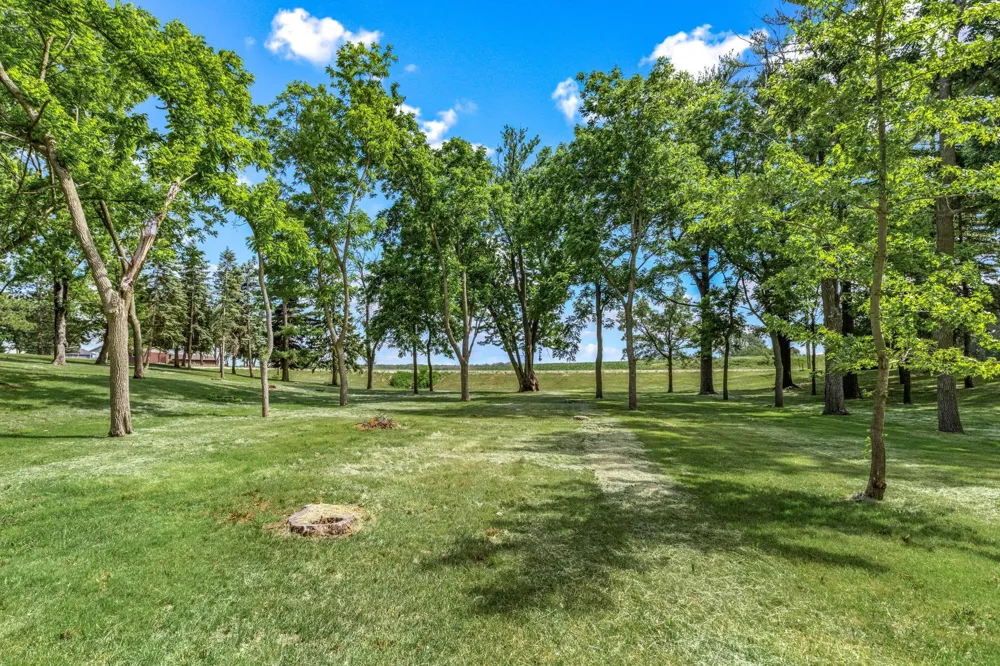 2591 290th Street E Randolph, MN 55065