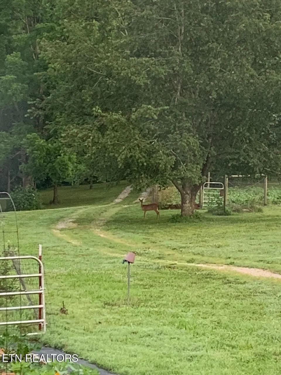 1302 Cummingsville Sparkmantown Rd Doyle, TN 38559