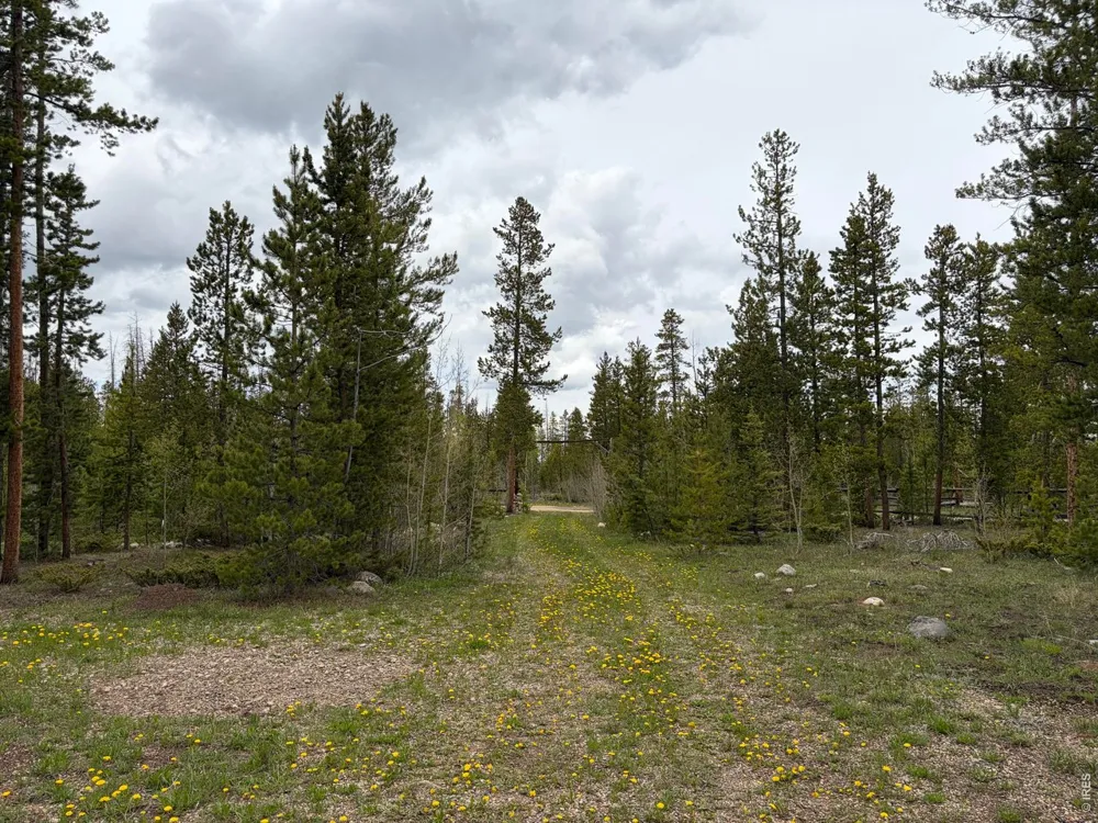 25 Aspen Drive Walden, CO 80480