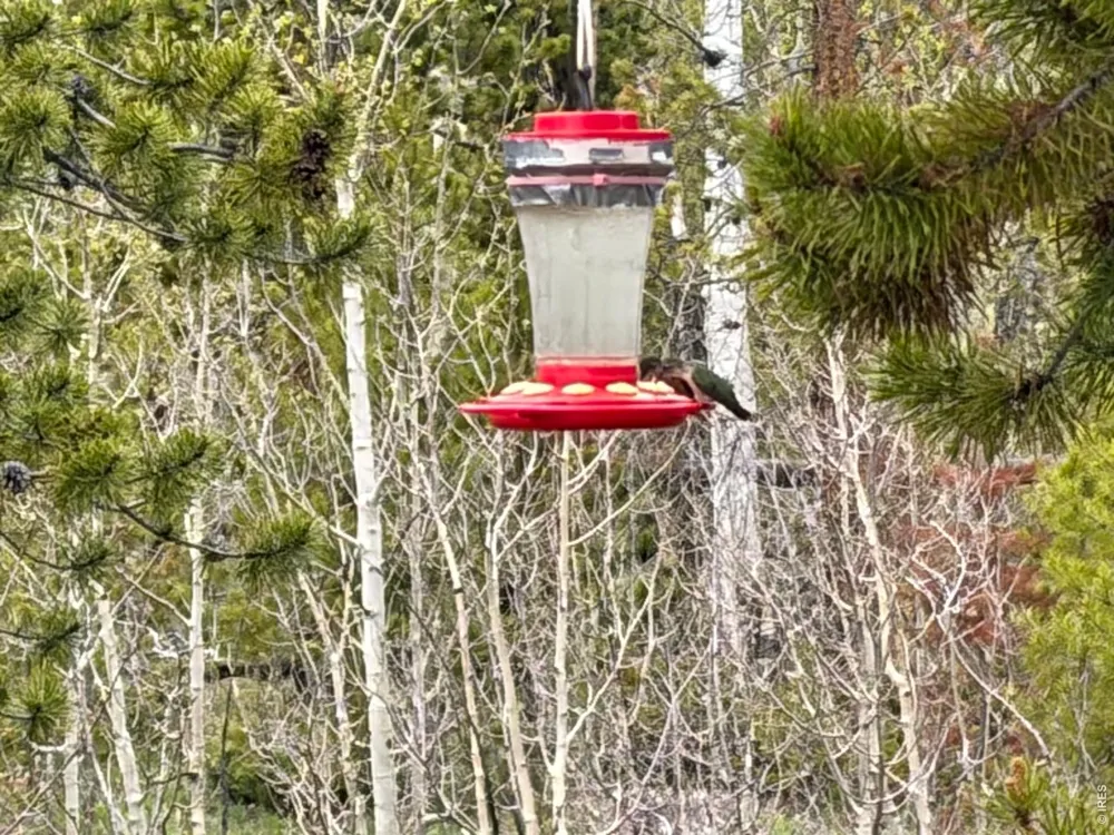 25 Aspen Drive Walden, CO 80480