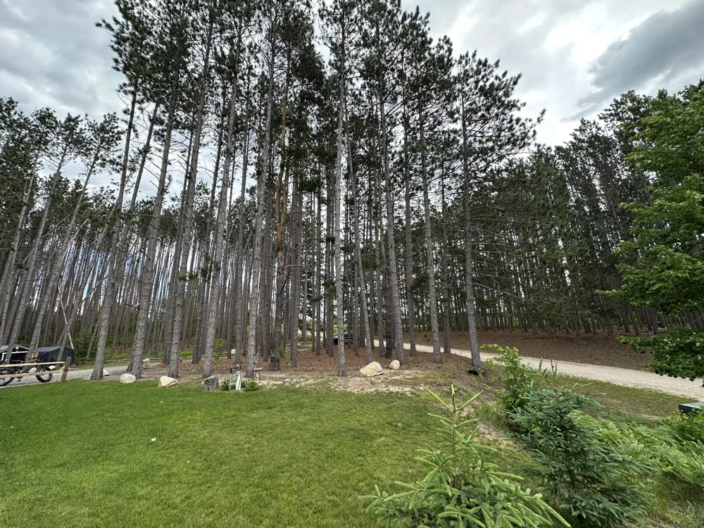 22032 Pine Valley Drive Burdell Township, MI 49688