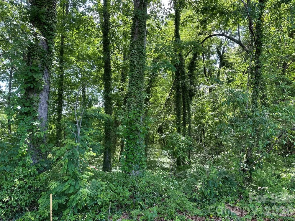 25 Oak Hill Drive #1 Asheville, NC 28806
