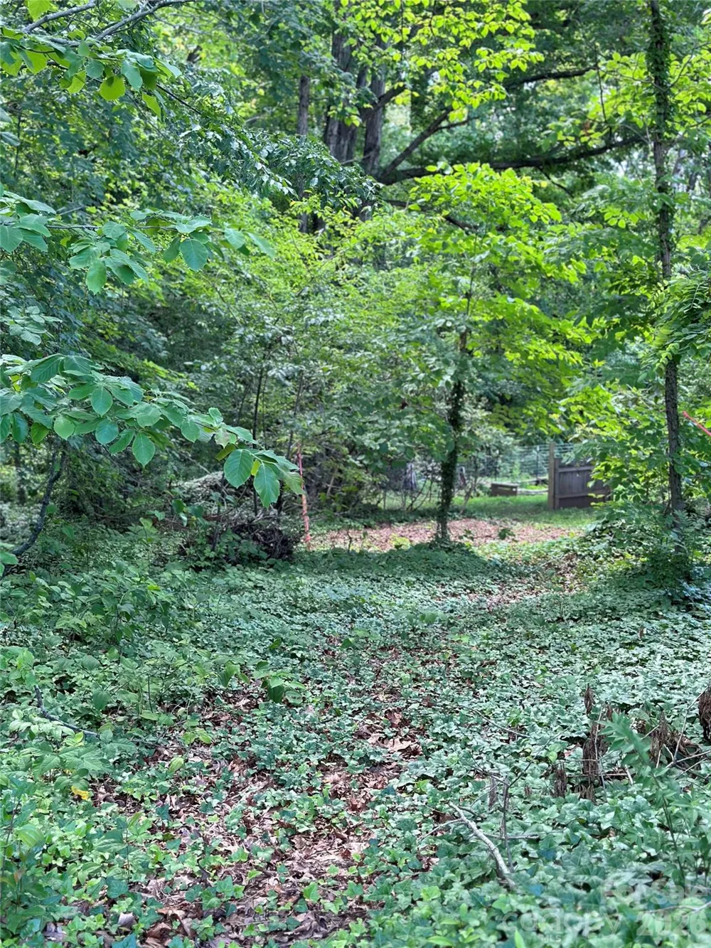 25 Oak Hill Drive #1 Asheville, NC 28806