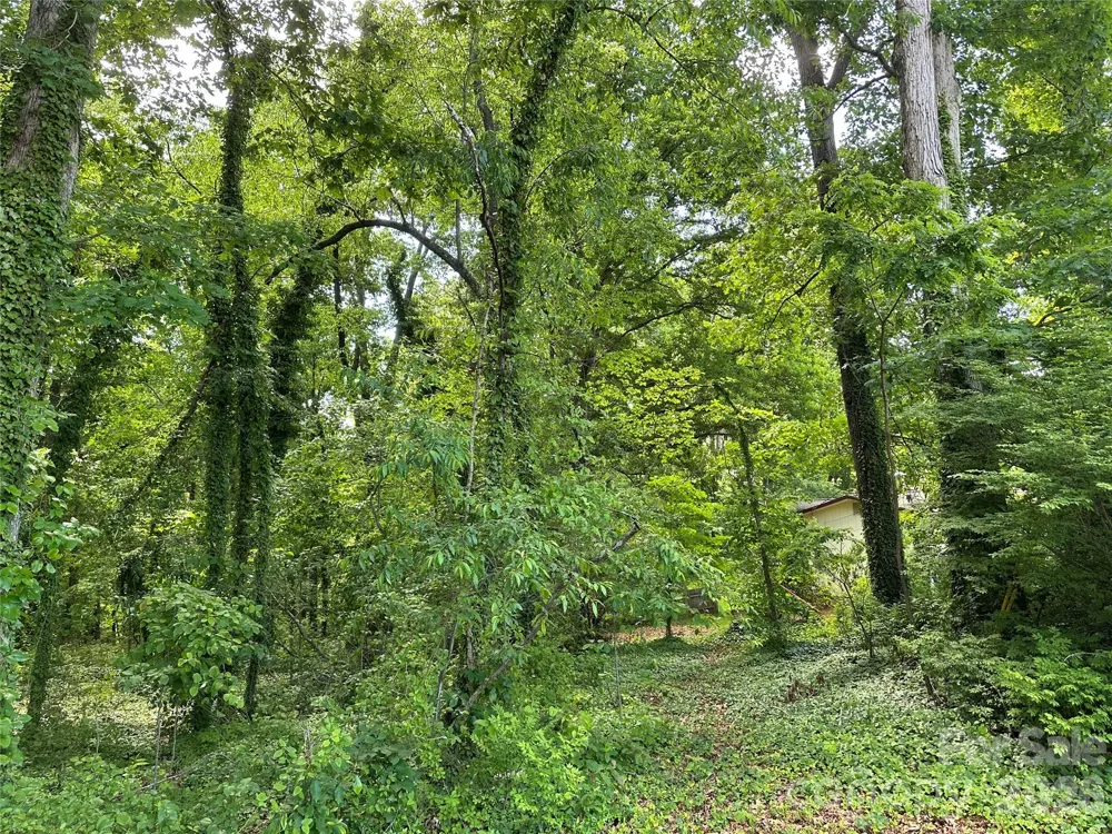 25 Oak Hill Drive #1 Asheville, NC 28806