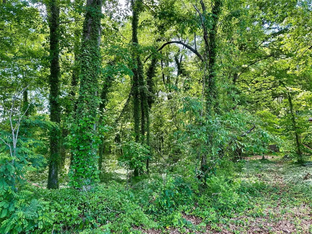 25 Oak Hill Drive #1 Asheville, NC 28806