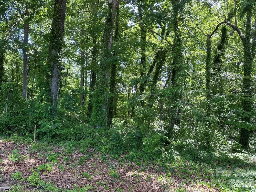 25 Oak Hill Drive #1 Asheville, NC 28806