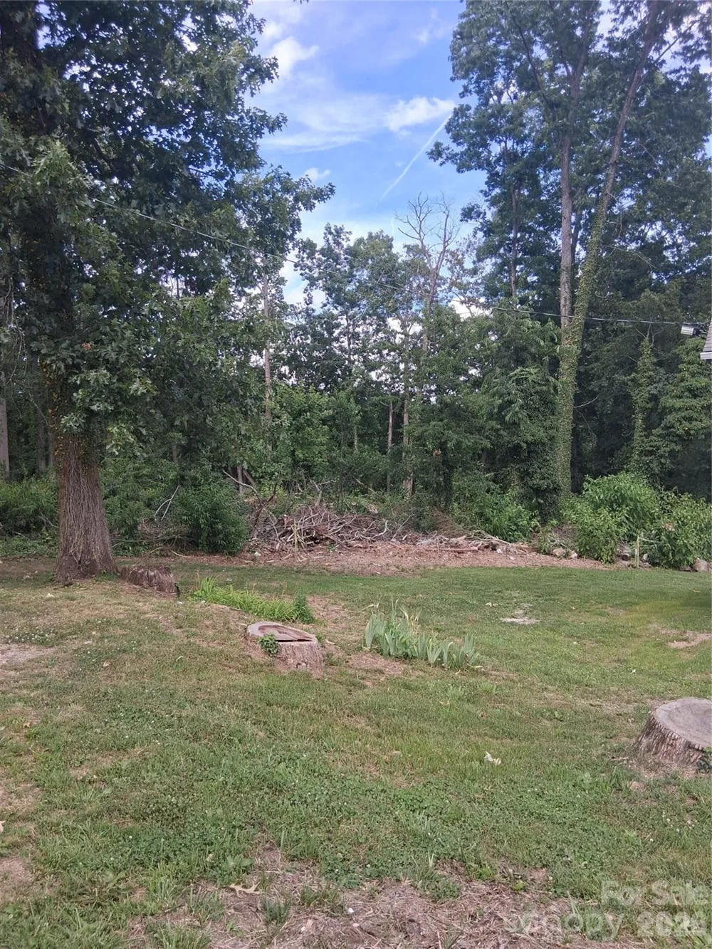 25 Oak Hill Drive #1 Asheville, NC 28806
