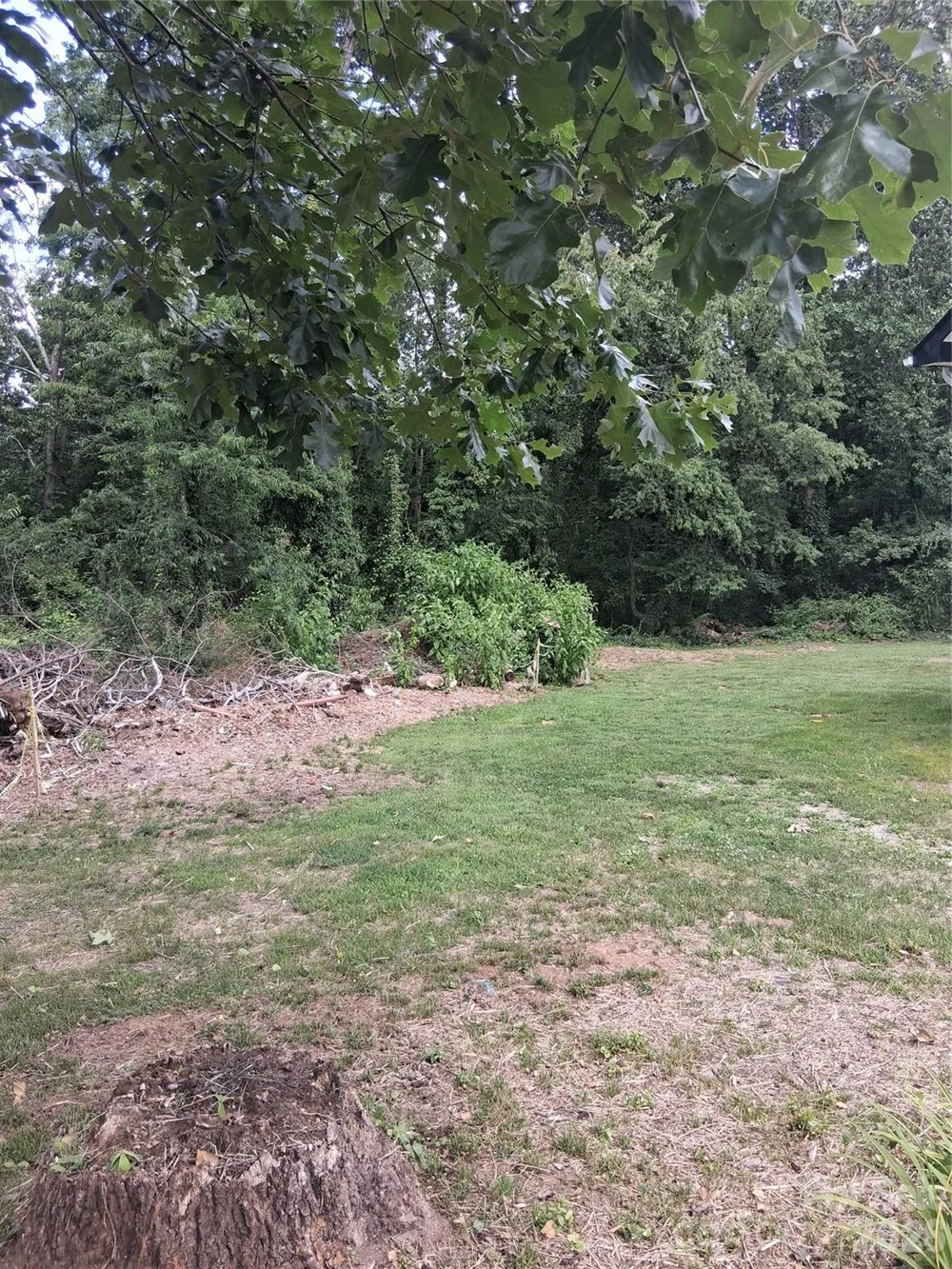 25 Oak Hill Drive #1 Asheville, NC 28806