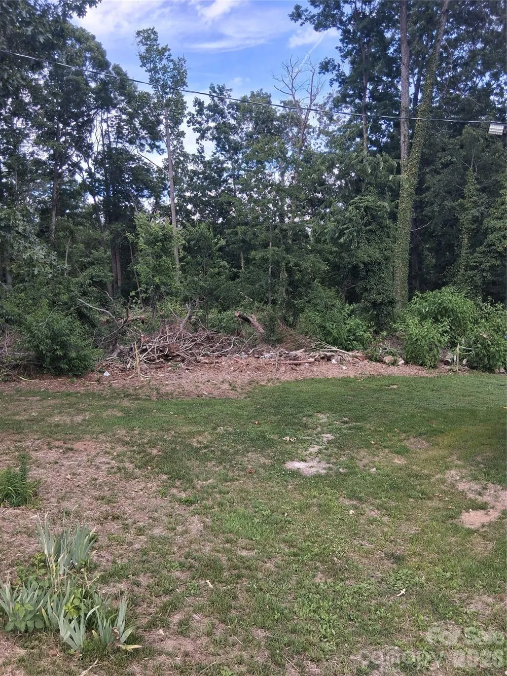 25 Oak Hill Drive #1 Asheville, NC 28806