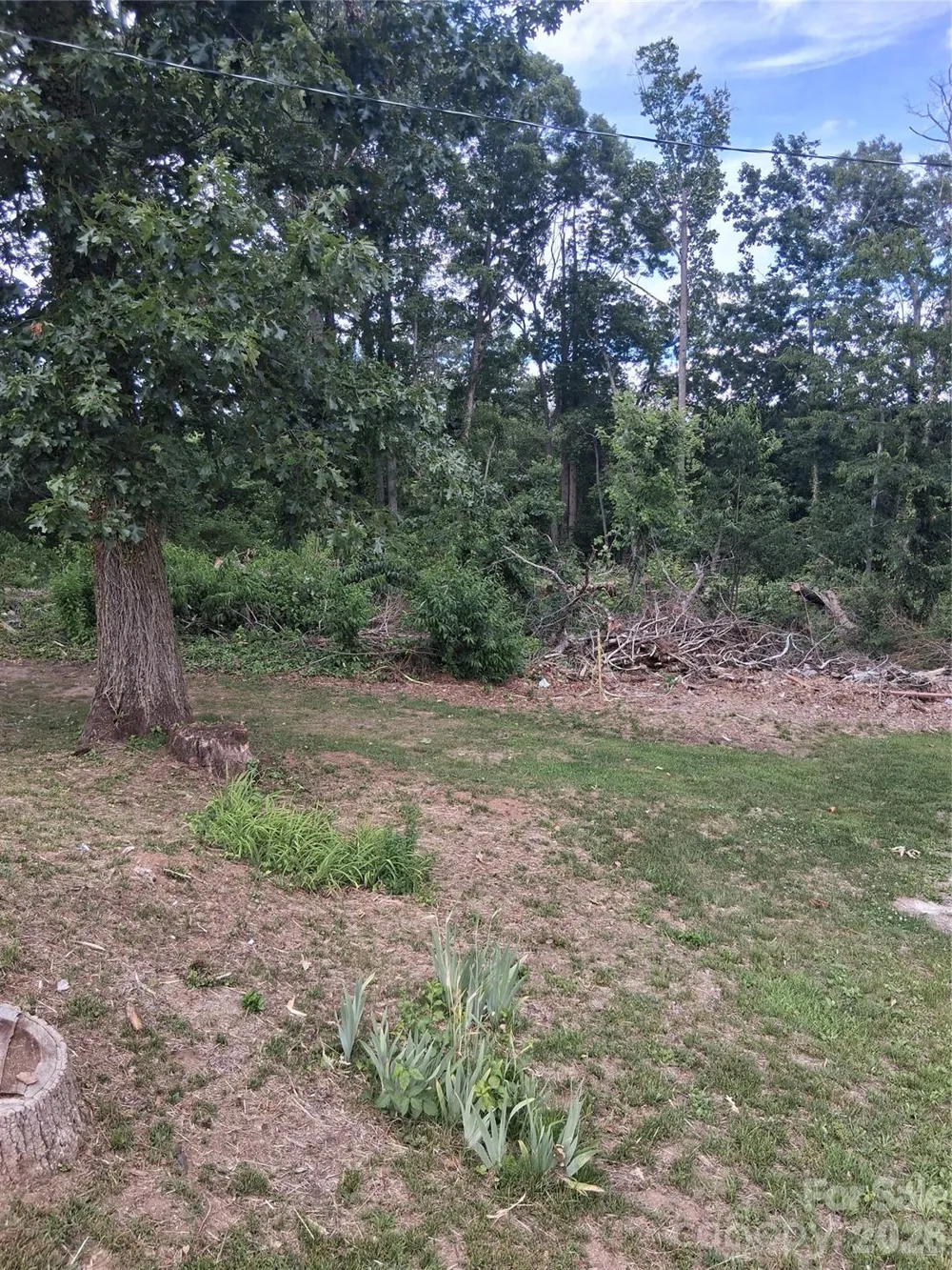 25 Oak Hill Drive #1 Asheville, NC 28806