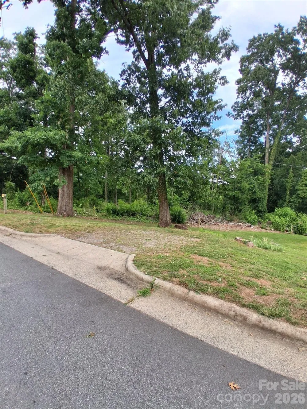 25 Oak Hill Drive #1 Asheville, NC 28806