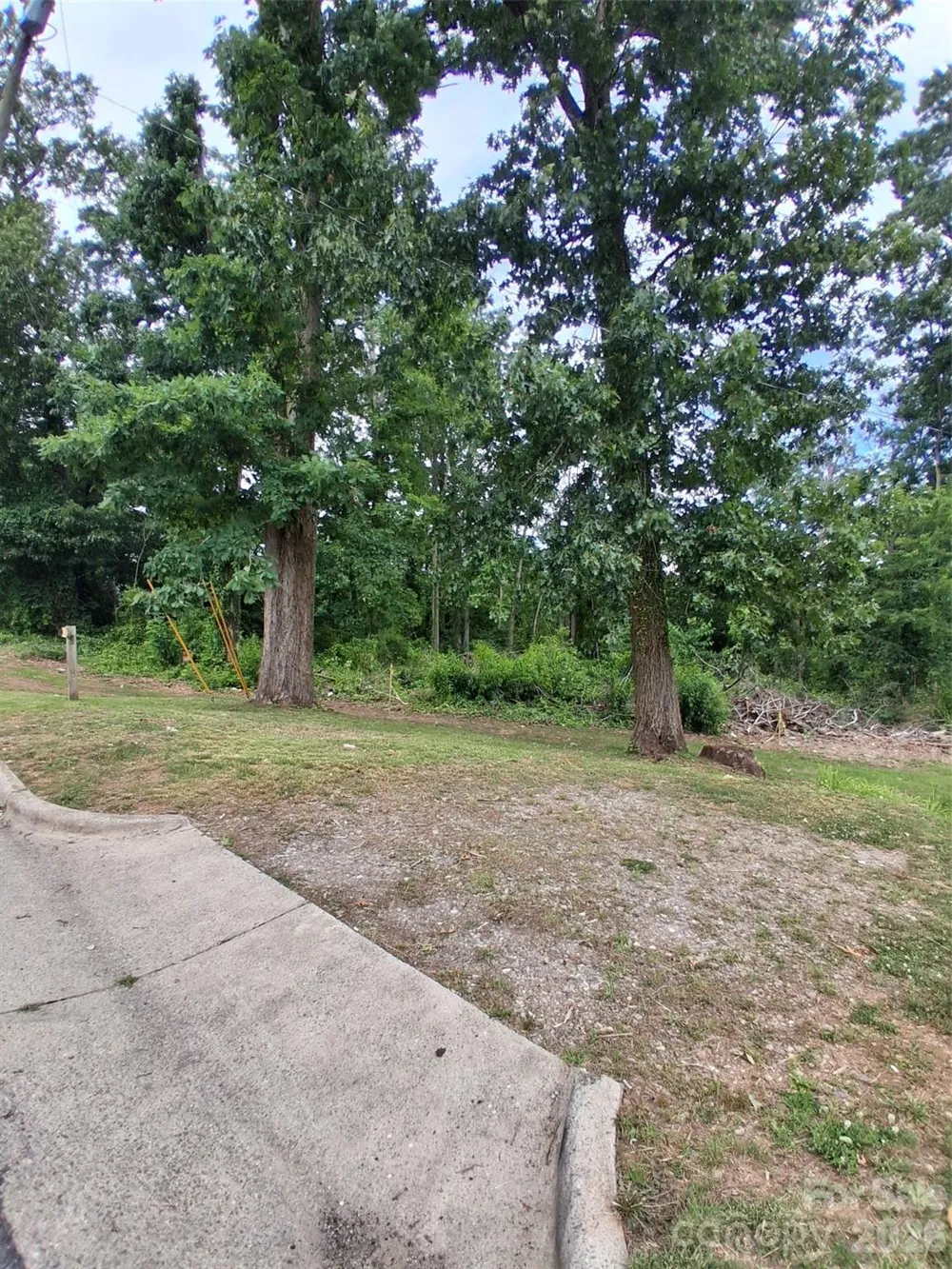 25 Oak Hill Drive #1 Asheville, NC 28806