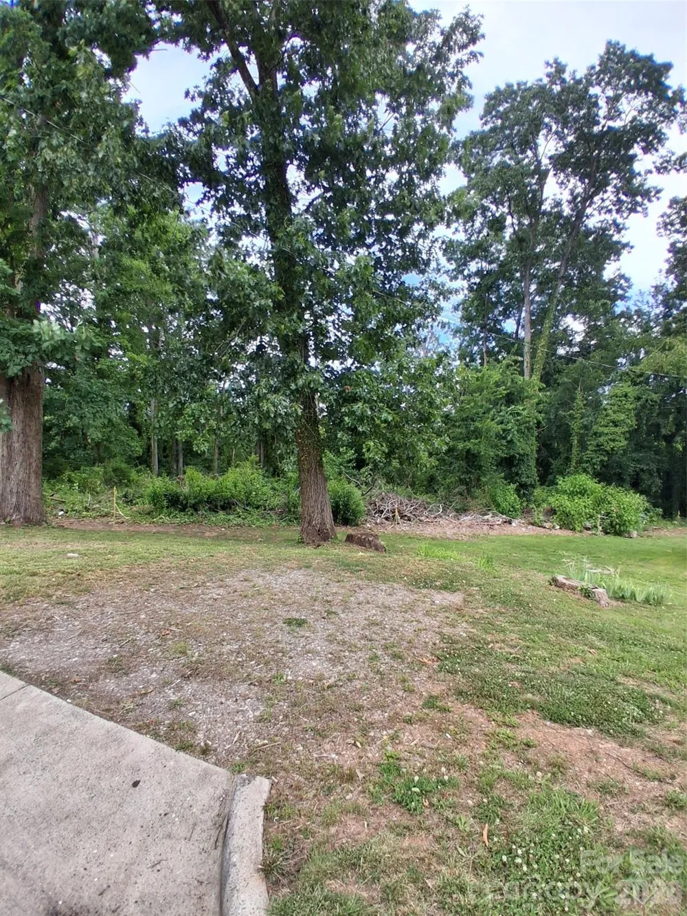 25 Oak Hill Drive #1 Asheville, NC 28806