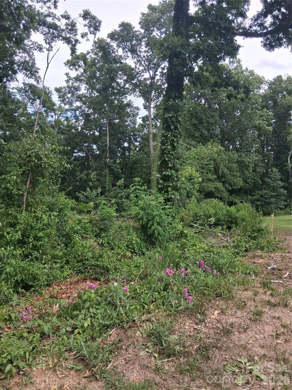 25 Oak Hill Drive #1 Asheville, NC 28806