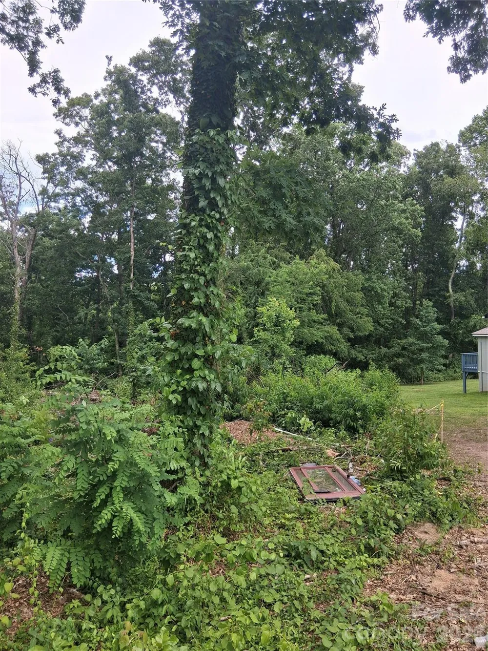 25 Oak Hill Drive #1 Asheville, NC 28806
