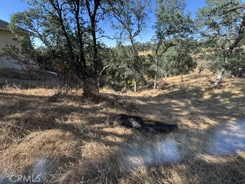 19932 Freshwater Drive