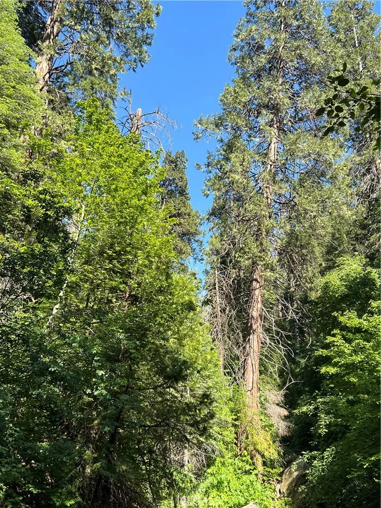 CA-245 Miramonte, CA 93641